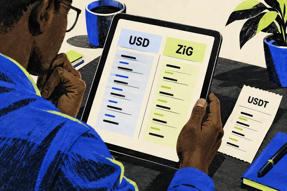 A Zimbabwean account record has separate USD and ZiG columns beside a distinct USDT transfer receipt